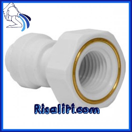PP450822W Raccordi depuratore Terminale Diritto Femmina rinforzato 1/4x1/4 JG Bianco 1 pezzo
