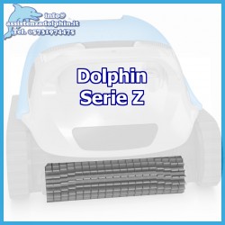 9983122 Spazzola Dolphin Serie Z, S, Pool Style