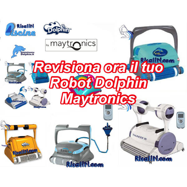 Revisione Dolphin www.risaliti.com