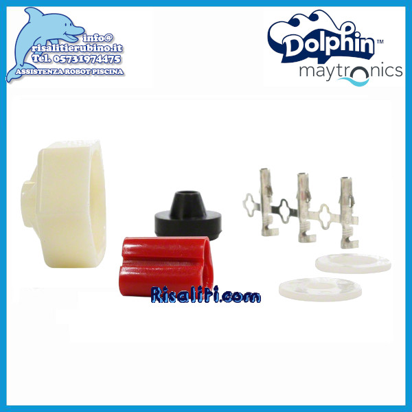 Kit Connessione Motore 9991273 Ricambio Robot Dolphin Piscina www.risaliti.com