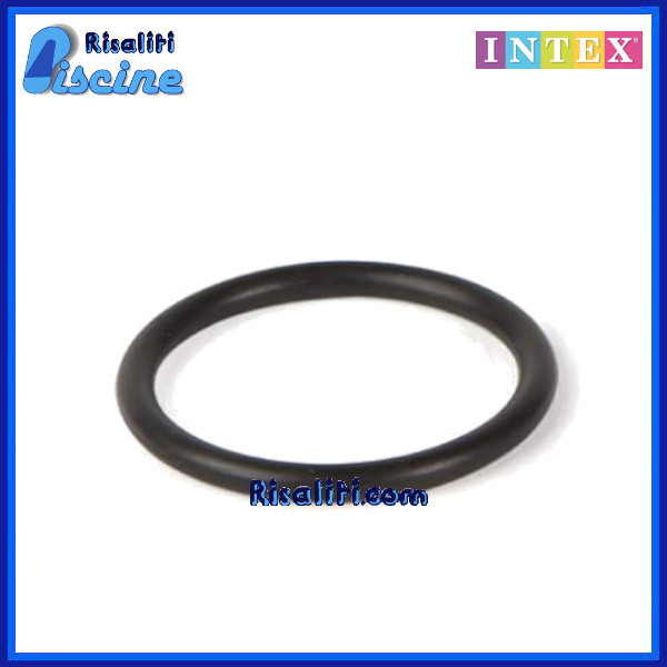 10134 Guarnizione Ricambio Pompa Intex  www.risaliti.com