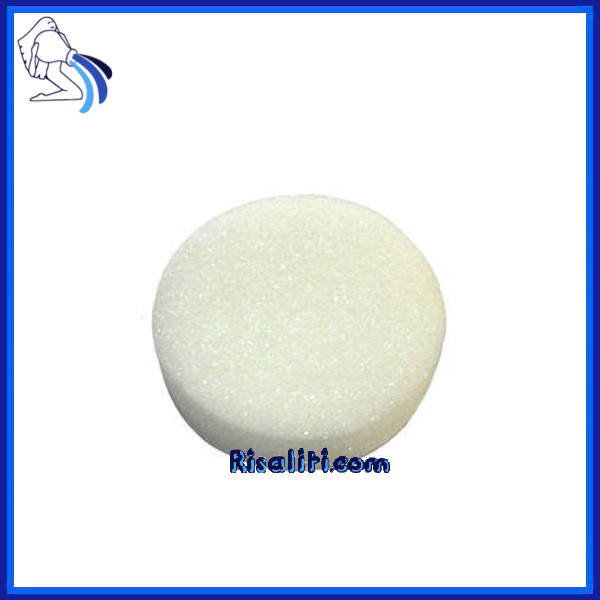 Spugnetta Cartuccia 9.3.4 Per Rio 202-133-123 www.risaliti.com
