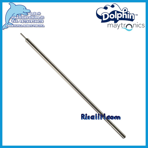 5581004 Ricambi Robot Piscina Dolphin Asse Fissaggio Rullo 2x2 www.risaliti.com